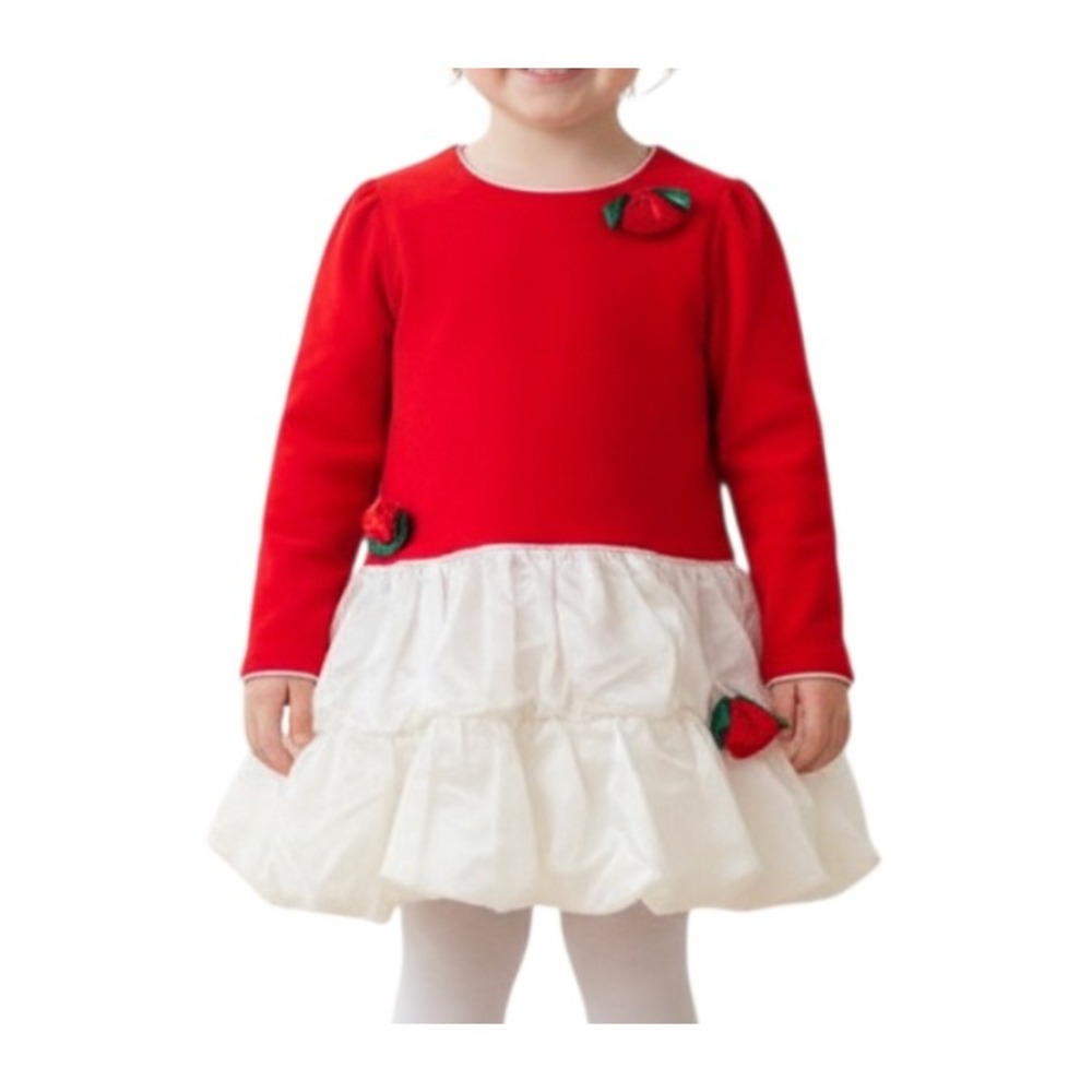 VTG Rare Editions RED VELVET DRESS Ivory Taffeta Bubble Skirt ROSES ROSETTES 5